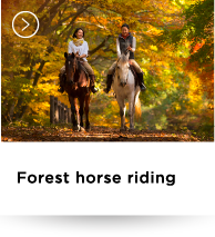 Forest horse riding